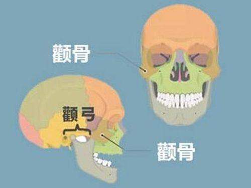 V&MJ金薇整形作為綜合醫院,如何融入韓國本地人去的貴婦皮膚科有哪些