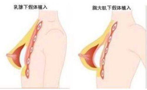 浪漫江南小程序如何助力精準查詢與預約？