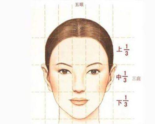 總結與預約指南