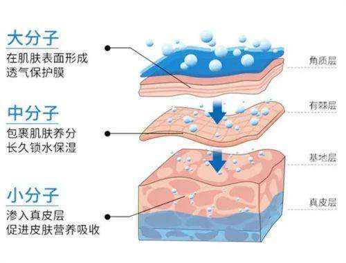 江南區與清潭洞皮膚科選院策略有何不同？