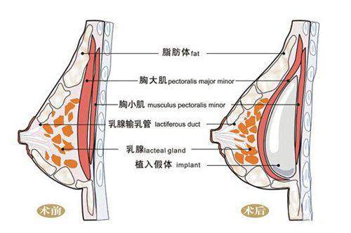 韩国医美签证办理流程从预约到领证五步走