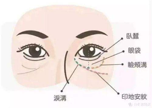 韓國醫美onda如何查證MFDS認證與醫師資質